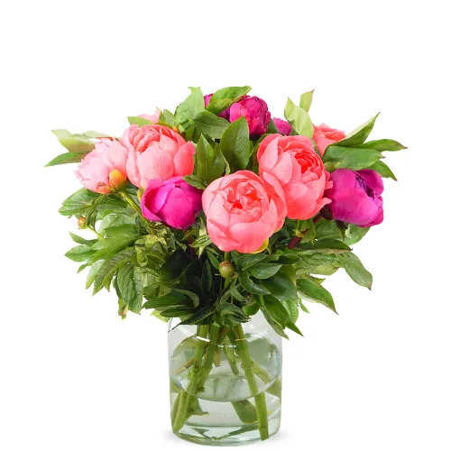 Rosen kaufen mit Herz: Qualität, Symbolik und Frische direkt vom Floristen